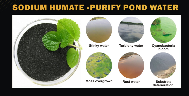 SODIUM HUMATE -FOR POND WATER USE